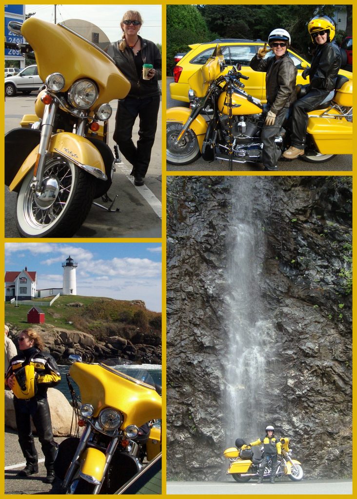 Profile of a Female Motorcyclist Meet Bee - photo collage